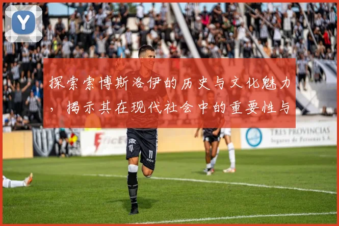 探索索博斯洛伊的历史与文化魅力，揭示其在现代社会中的重要性与影响力