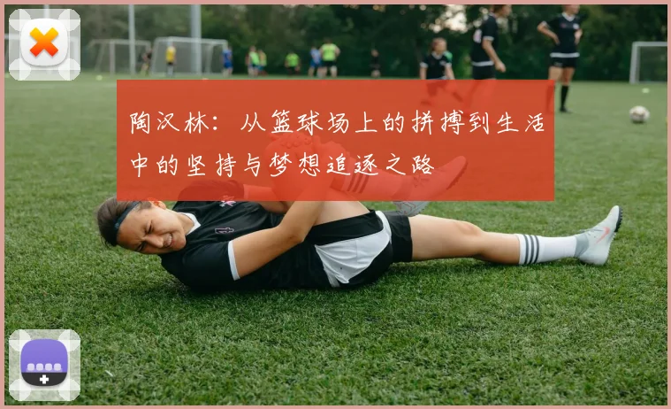 陶汉林：从篮球场上的拼搏到生活中的坚持与梦想追逐之路